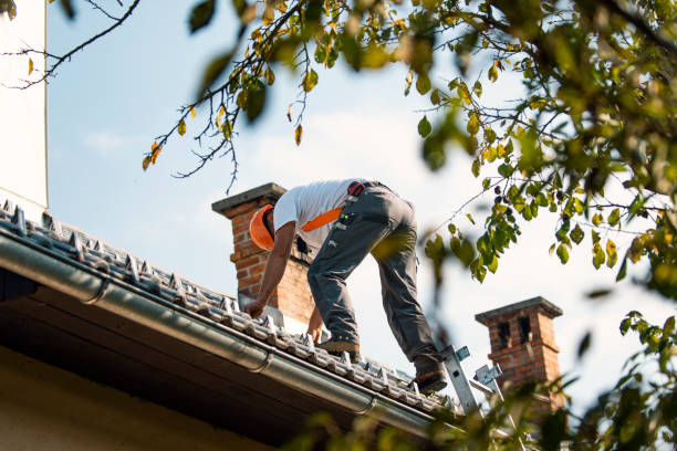 Best Storm Damage Roof Repair  in South Windham, CT